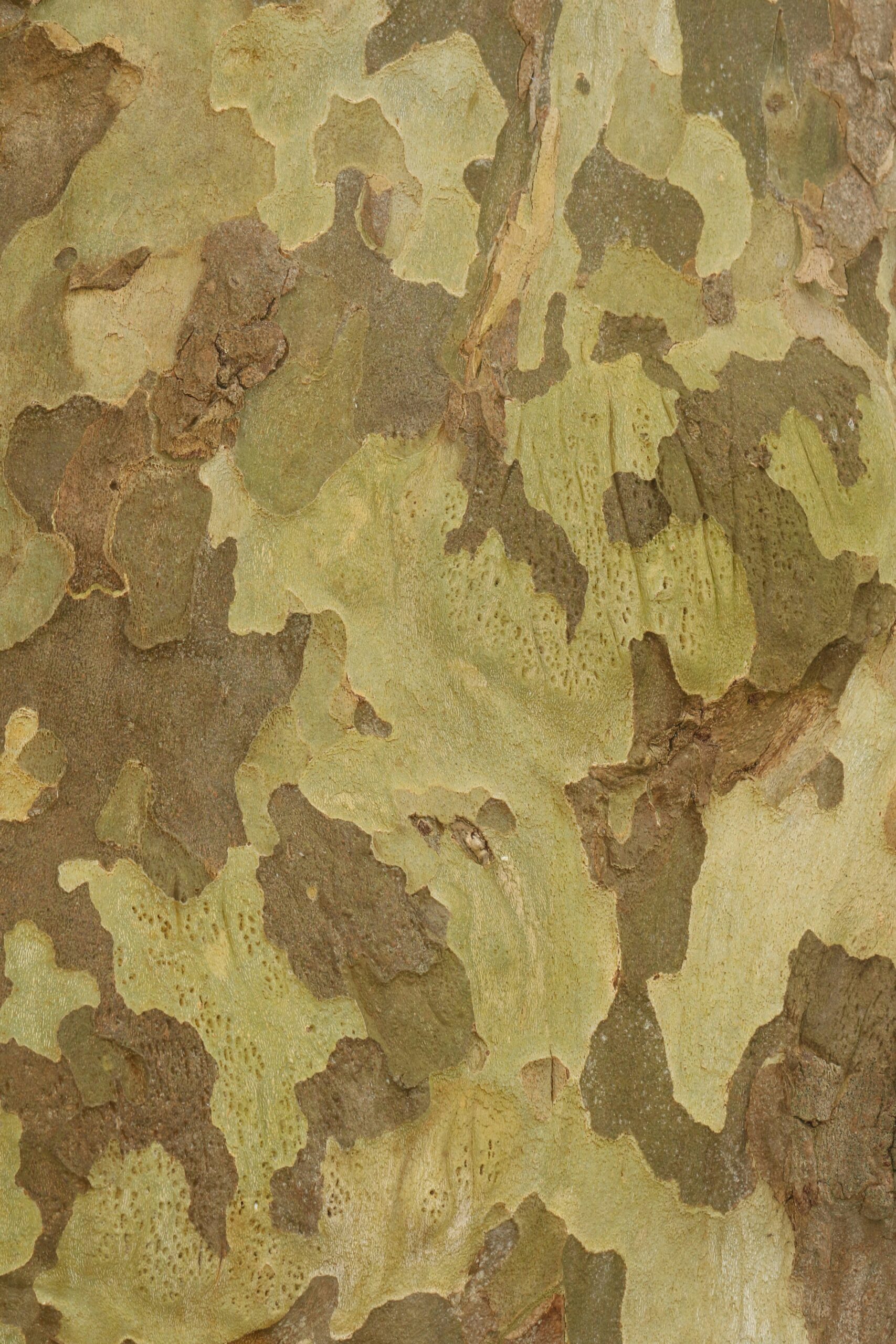 What Are Some Popular Brands Of Camouflage Outdoor Gear?