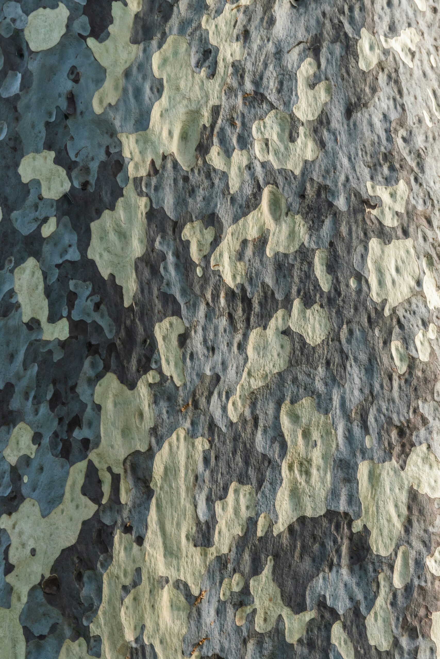 Do Certain Materials Offer Better Camouflage Properties Than Others?