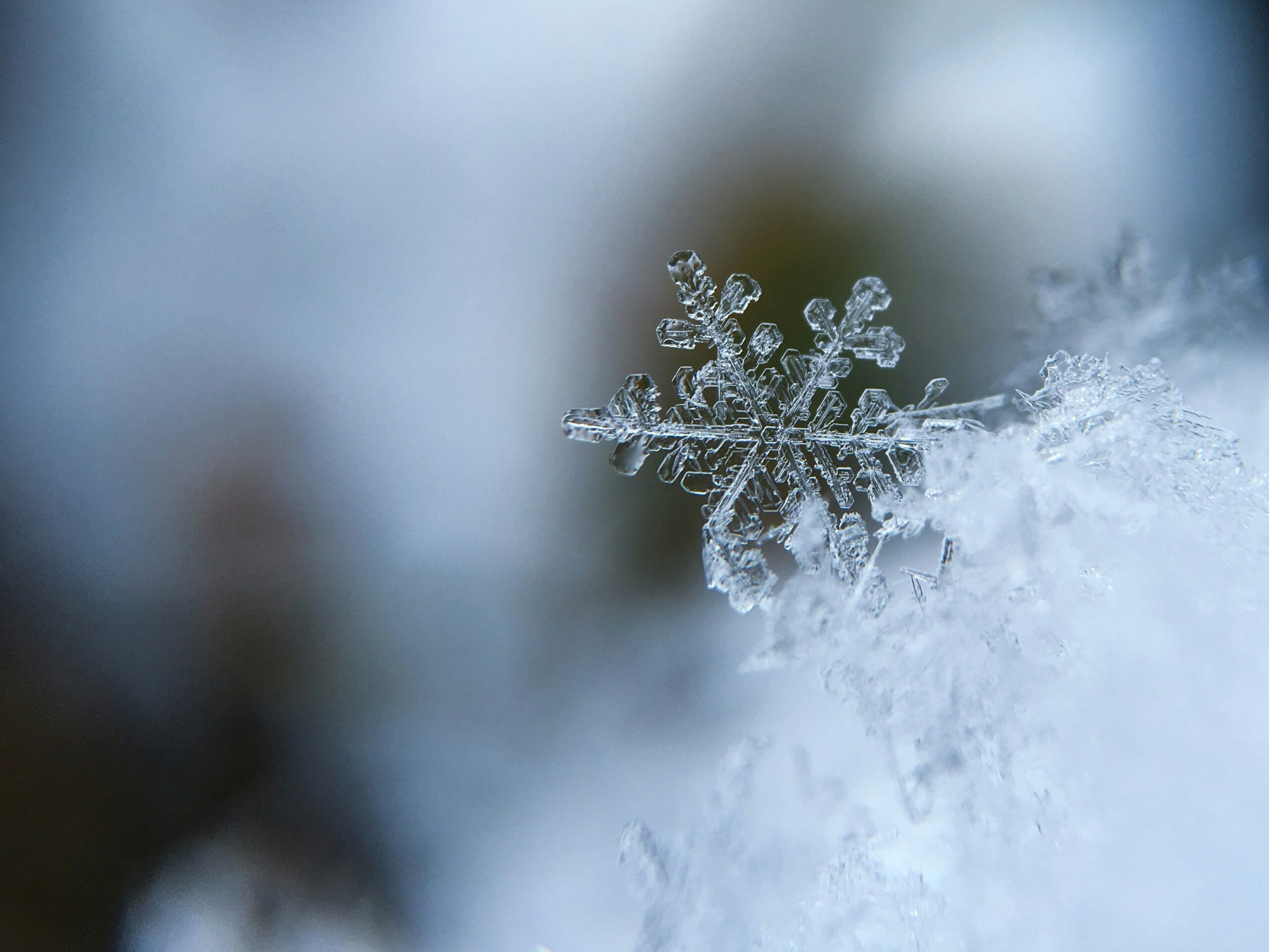 Does Camouflage Outdoor Gear Protect Against Rain And Snow?