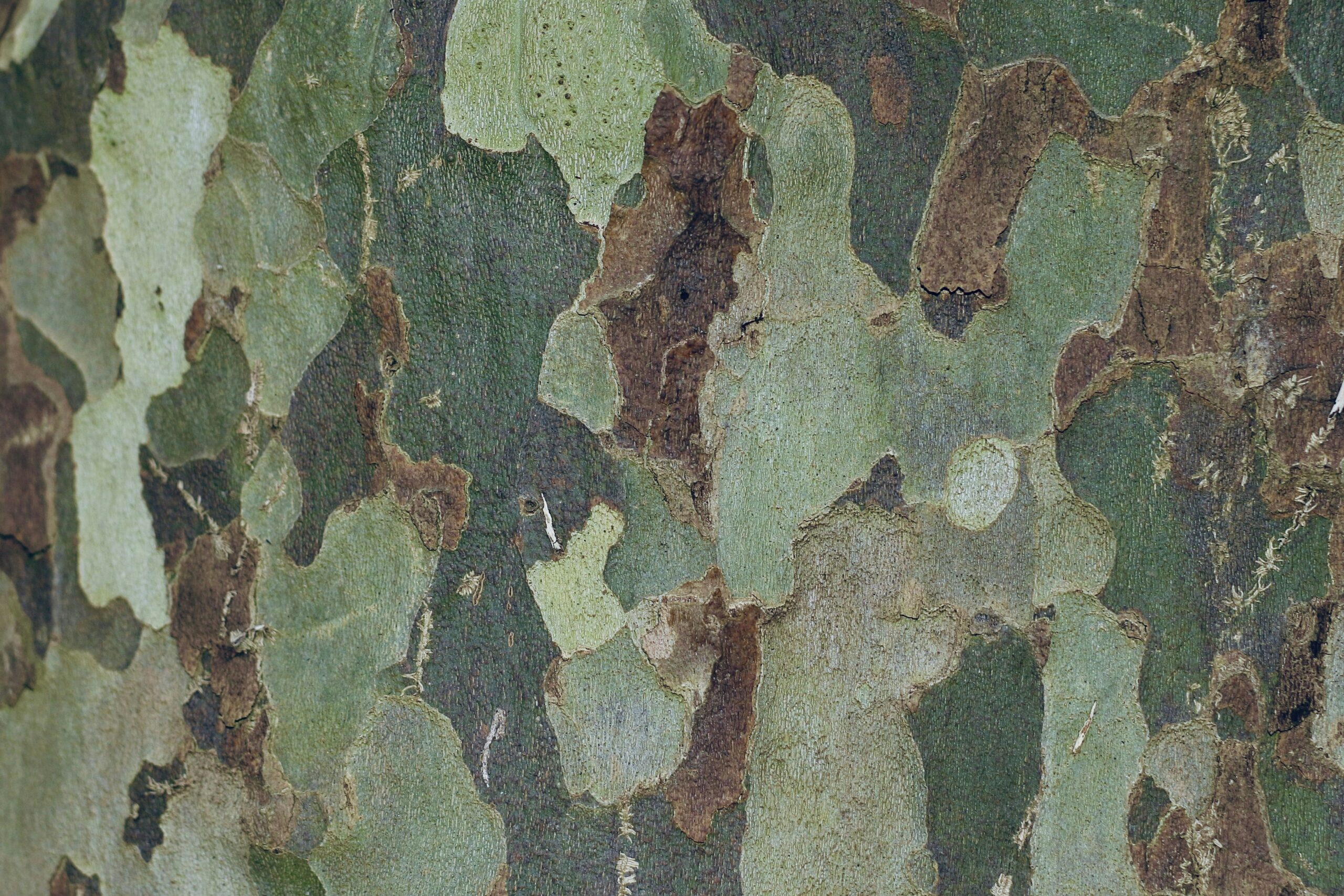 How Does Camouflage Help In A Survival Situation?