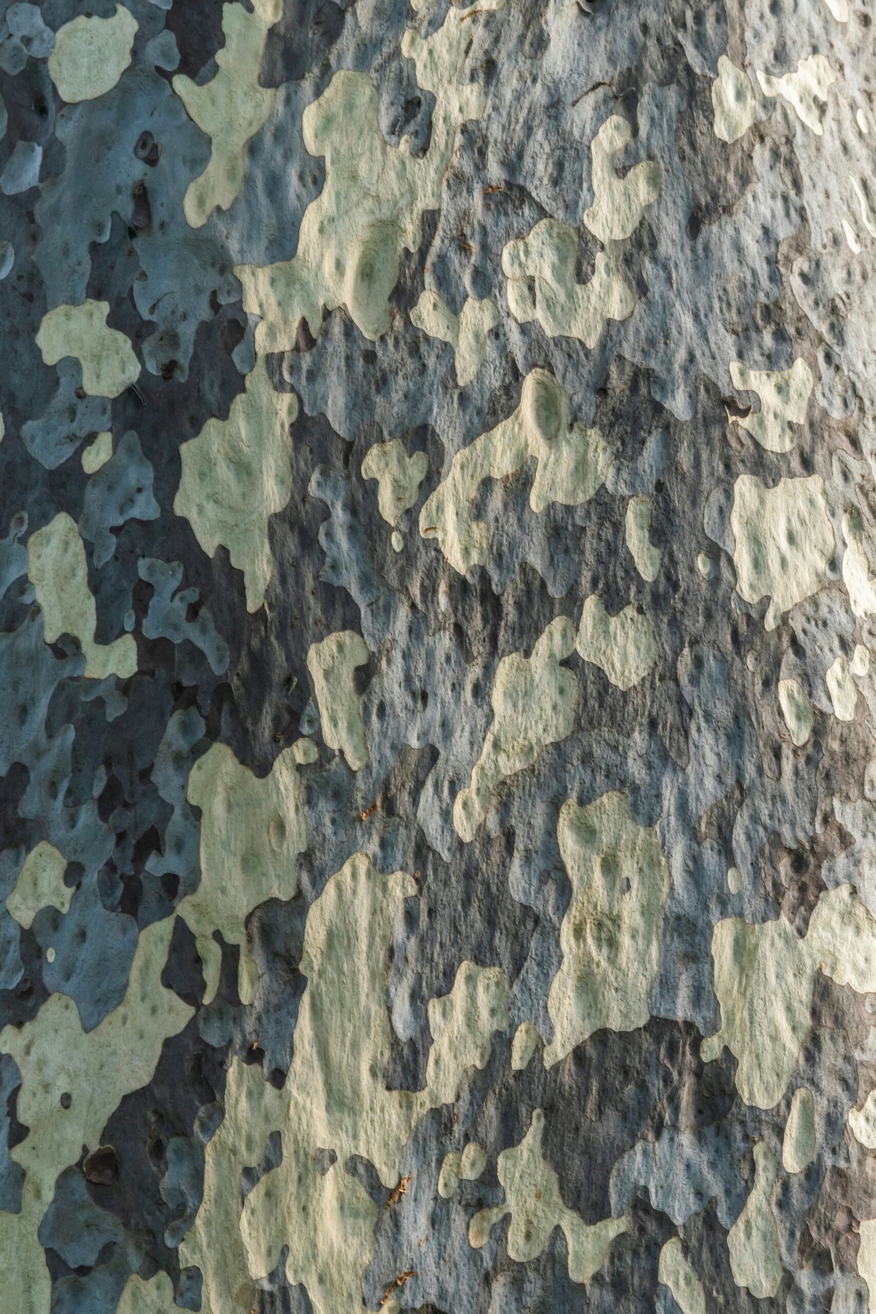 Can Camouflage Clothing Be Used As Survival Gear?