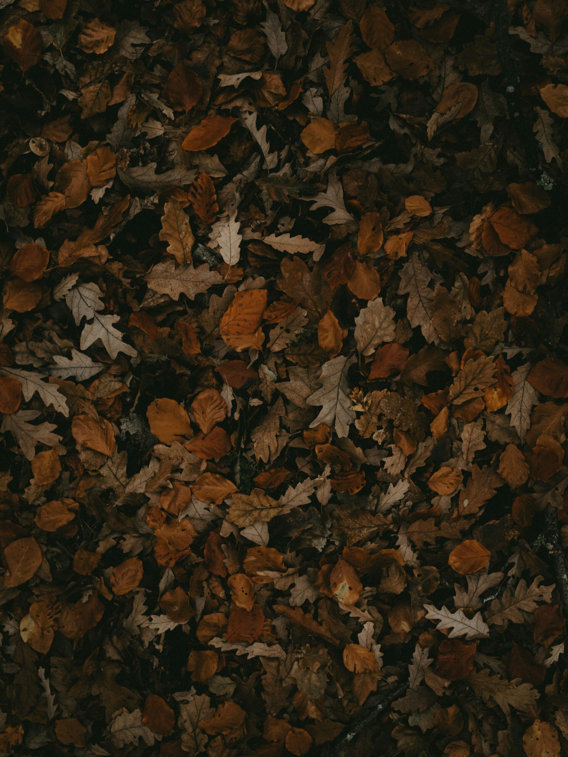 Is Camouflage Survival Gear Only For Hunters?