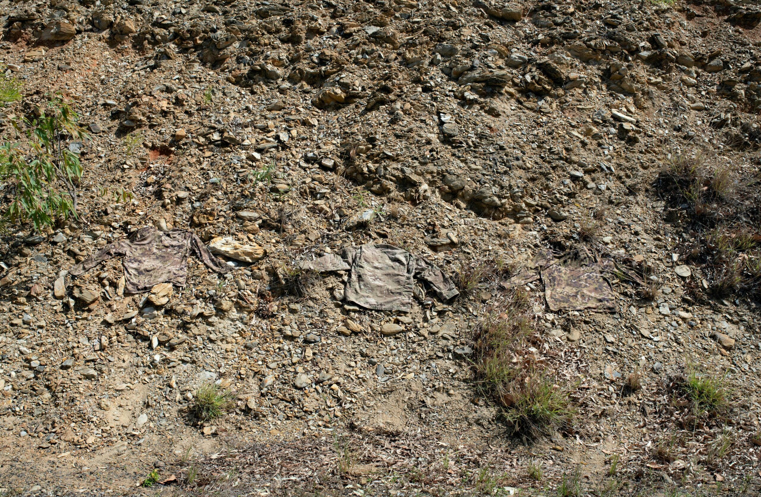 What Are The Different Patterns Available In Camouflage Survival Gear?